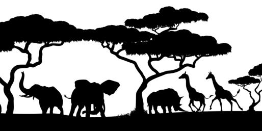 Quiz: Can You Name This Animal By Its Silhouette?