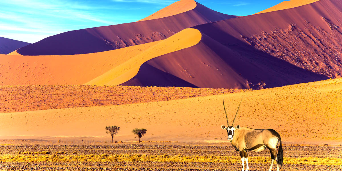 Quiz On What Continents Are These Deserts?