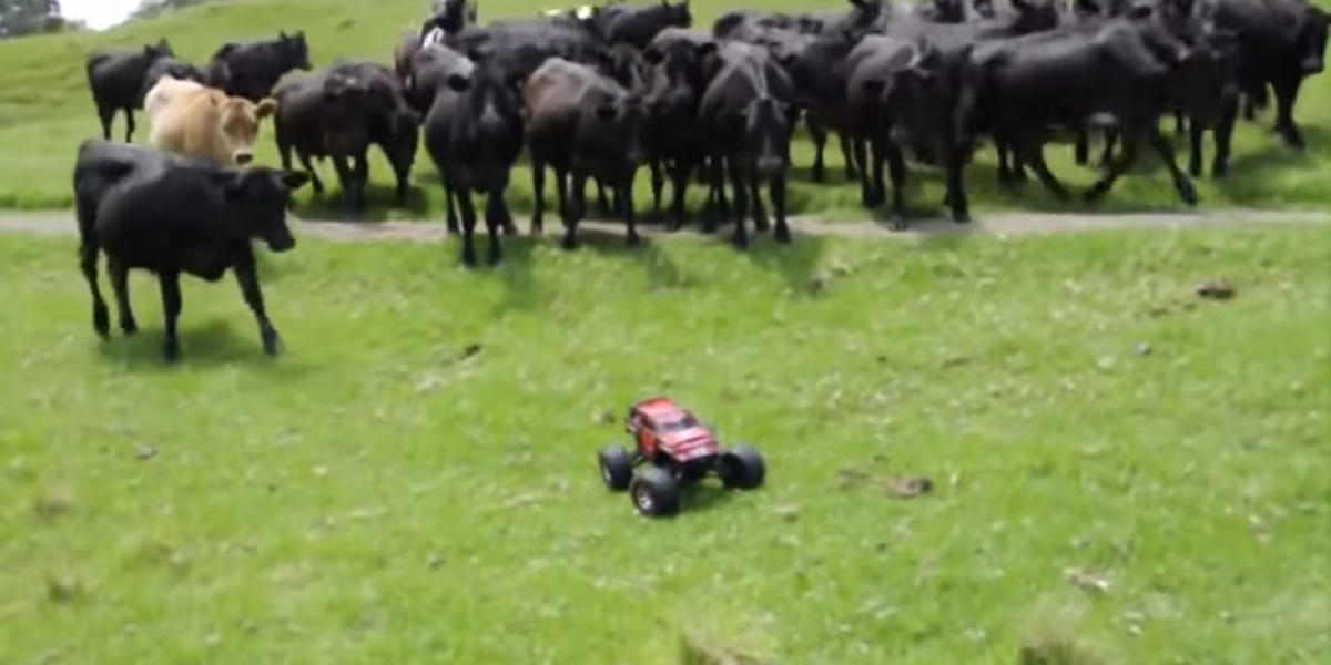 remote control cattle trucks