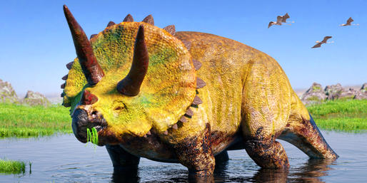 Quiz: Is This A Prehistoric Animal?