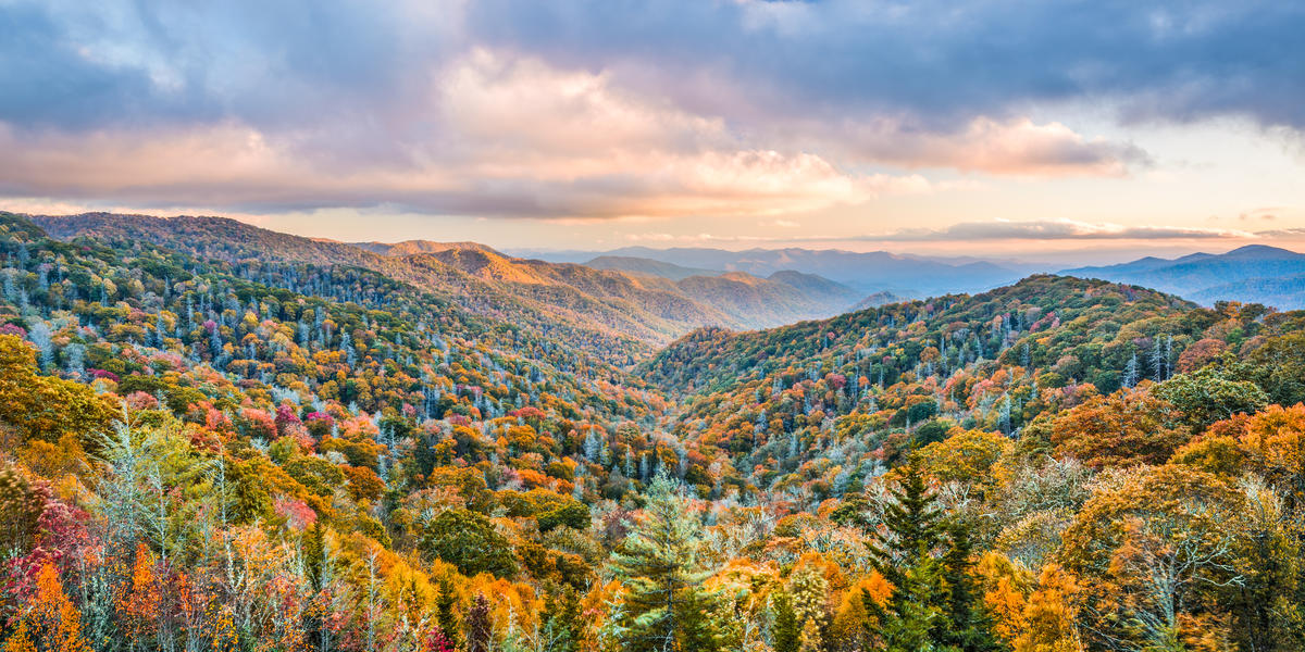 Quiz: Do You Know National Parks?